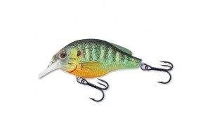 Live Target Sunfish... 2