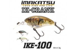 Imakatsu IKE-100