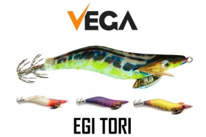 Vega EGI Tori