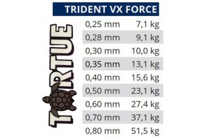 Tortue Trident Vx Force 300 m 2