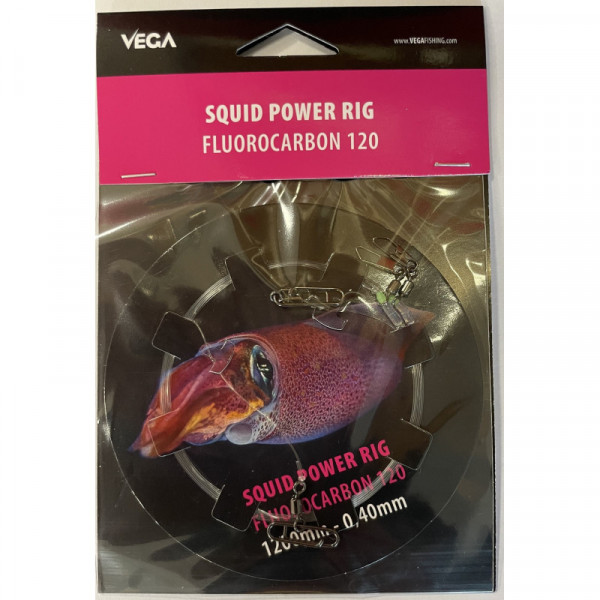 Vega Montagem Lulas Power Rig