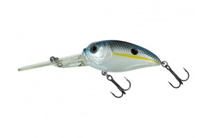 Molix Sculpo XD Silent 2