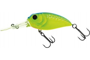 Molix Sculpo DR Silent 2