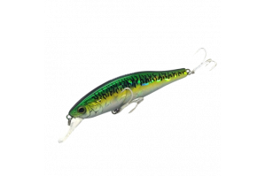 Akami Magnetic Bullet