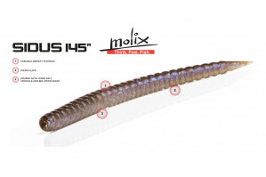 Molix Sidus 145