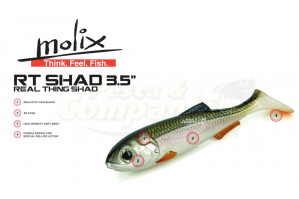 Molix RT Shad 3.5"