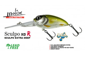 Molix Sculpo XD R