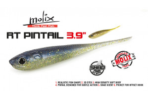 Molix RT Pintail 3.9"