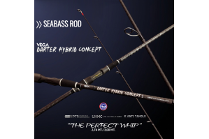 Vega Darter Hybrid Concept...