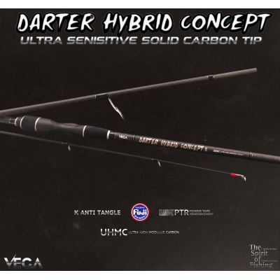 Vega Darter Hybrid Concept 3,00m