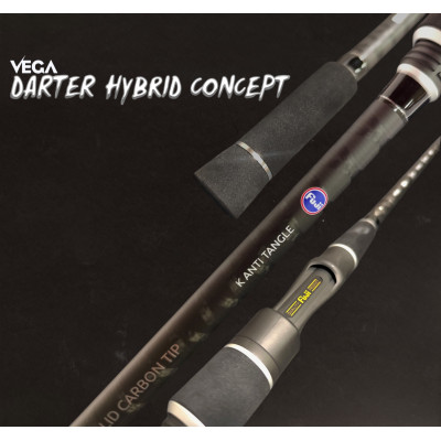 Vega Darter Hybrid Concept 3,00m
