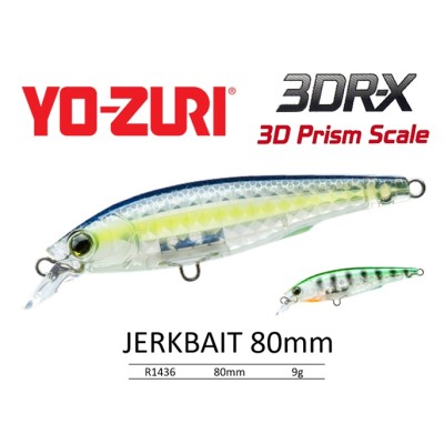 Yo-Zuri 3DR-X Jerkbait