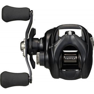 Daiwa Tatula 2023 TW 100HL
