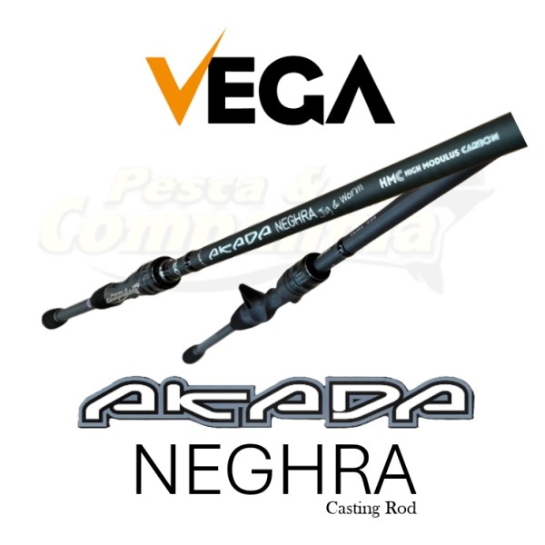 Vega Akada NEGHRA Casting Jig&Worm 7'3" Extra Fast Medium Heavy