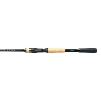 Shimano Expride Casting 6'10" Medium
