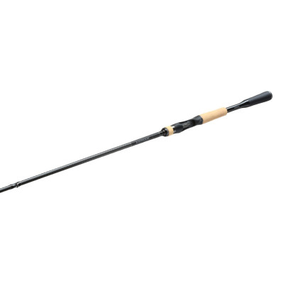 Shimano Expride Casting 6'10" Medium