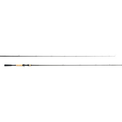 Shimano Expride Casting 6'10" Medium