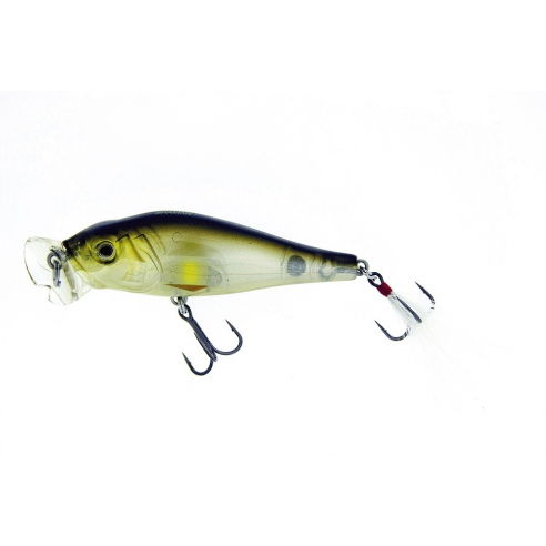 Molix Shaman 33 Tigre Ardente