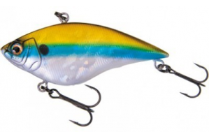 Duel Hardcore Drum WCL GSAY Ghost