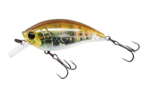 Yo-Zuri 3DR Shallow Crank 70™ 2