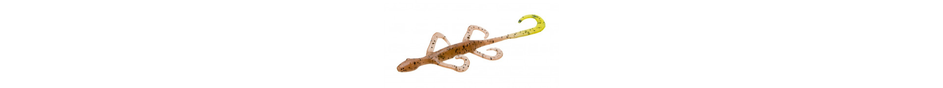 Lizards