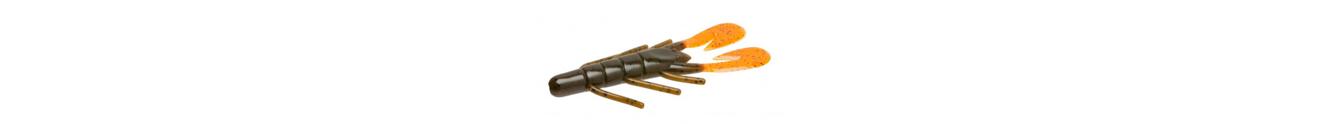 Craw