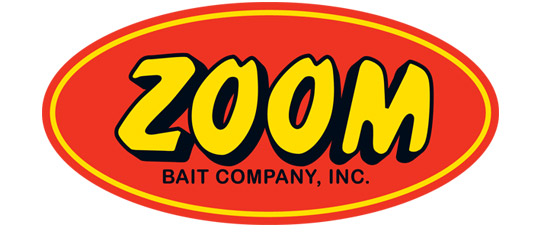 zoom-logo-big.jpg